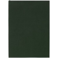 Ежедневник Flat Light, недатированный, зеленый