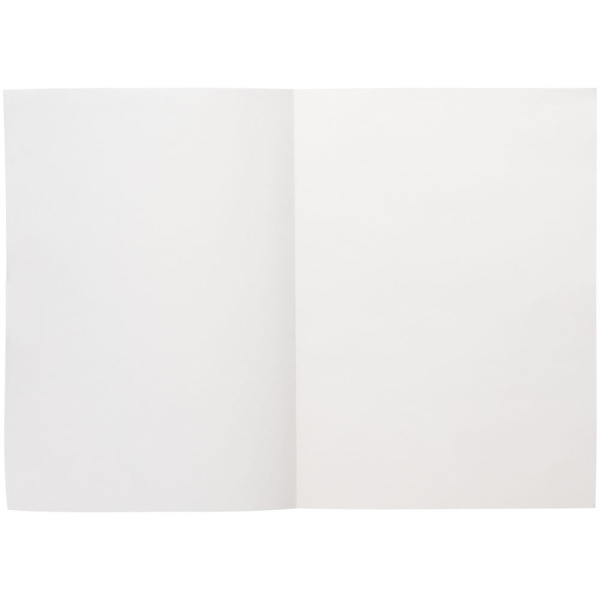 Ежедневник Flat Light, недатированный, черный